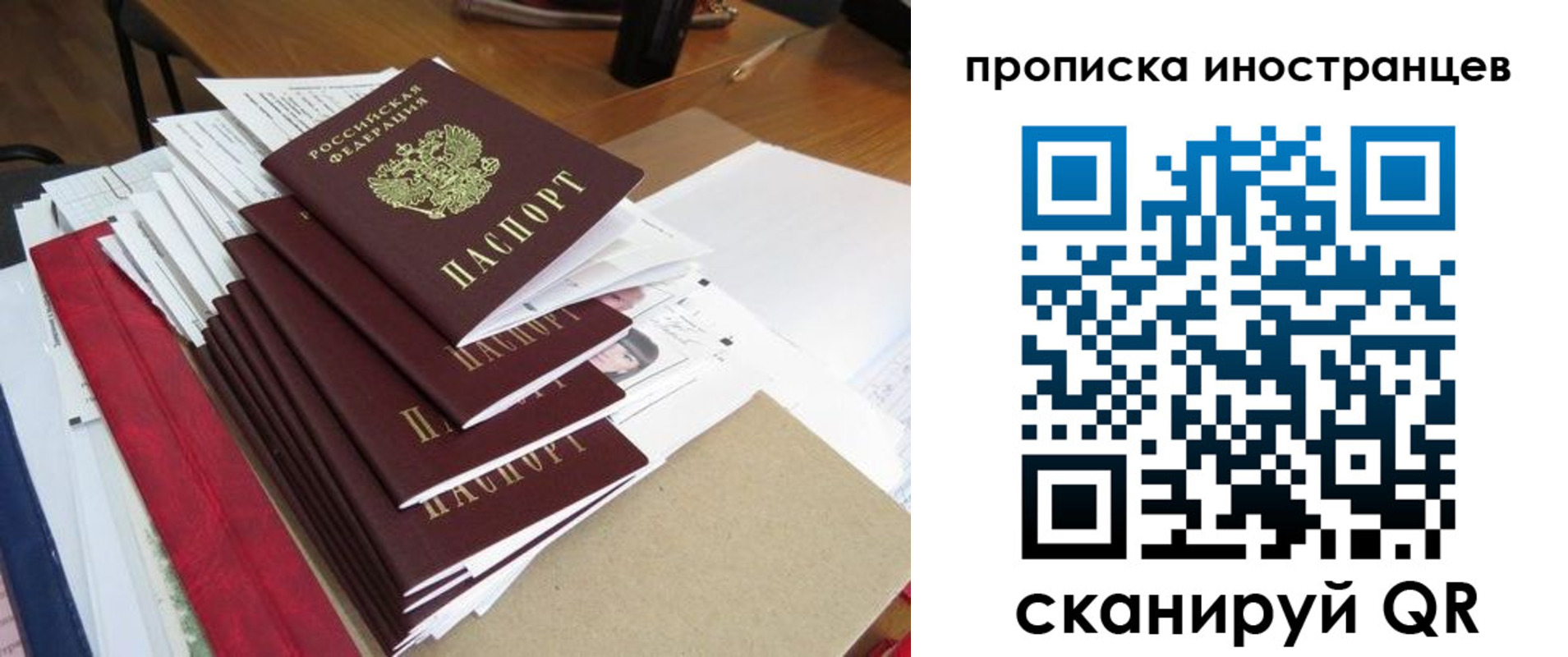 прописка для школы в Александрове